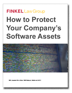 Software Protection Whitepaper