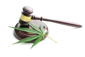 Proposed Cannabis Regulations