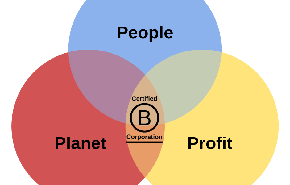 Raising Money as a Public Benefit Corporation