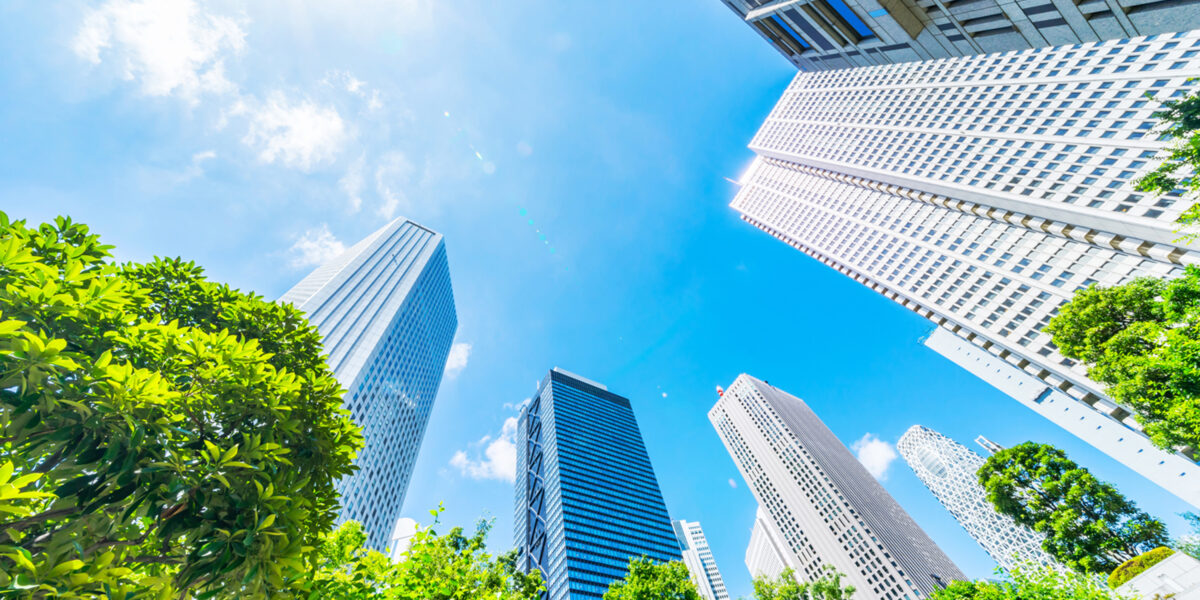 Real Estate & Environmental